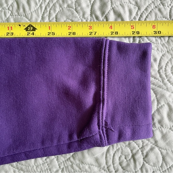 Texas Christian University Horned Frog Colosseum NCAA Hooded Sweatshirt Sz L - Picture 11 of 12